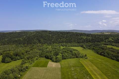 1,8 ha pod rekreację, siedlisko lub fotowoltaikę