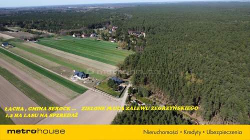 1.2 hektara - działka leśna w miejscowości Łacha