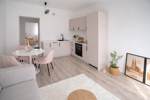 Rybnik centrum / 3 pokoje / balkon / 1 piętro / po remoncie