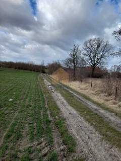 Działka budowlana na sprzedaż, 3000,3 m2, Ścinawa