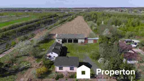 Gospodarstwo sadownicze 6,86 ha Franciszków