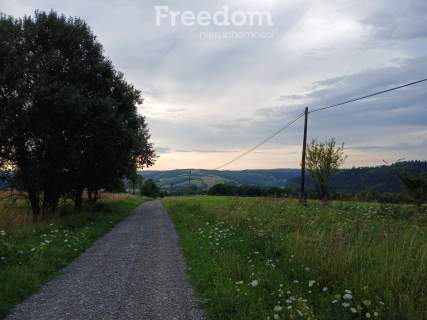 1,8 ha pod rekreację, siedlisko lub fotowoltaikę