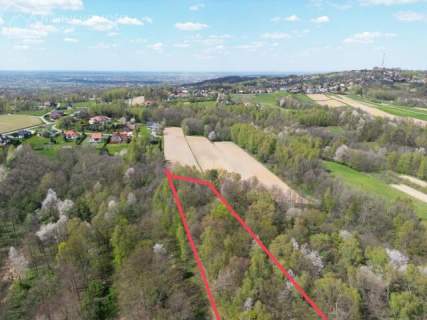 Twój prywatny las blisko Tarnowa - 98 arów spokoju i natury 