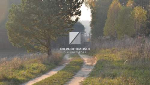 Działka budowlana 4000 mkw, widok na staw, Wełmin