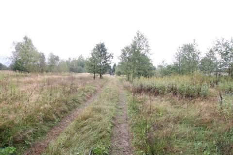 Działka budowlana ok.20 ar Gołąb g. Michów
