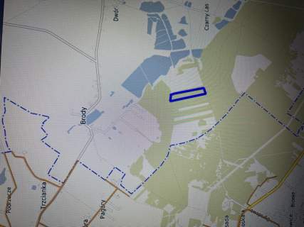 Działka leśna 3,90 ha w Brodach gm. Pierzchnica.
