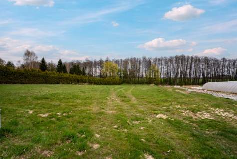 Działka 1037 m2 Jarząbkowice gm. Pawłowice - media