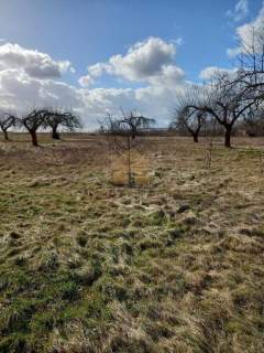 Działka budowlana na sprzedaż, 3000,3 m2, Ścinawa