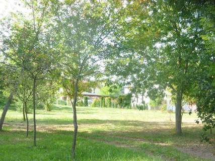 Działka 6700m2,gm.Dobra,dr.asf.las.
