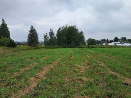 Opole Lubelskie - 1,24 ha - malownicza okolica