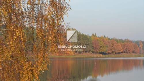 Działka budowlana 4000 mkw, widok na staw, Wełmin