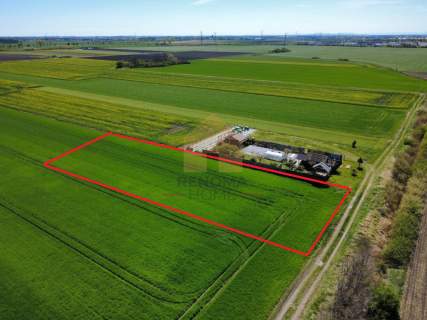 Działka 2820m2 Żerniki Wro WZ Projekt