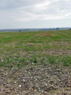 Działka inwestycyjna 4,5 ha bezpośrednio przy S12