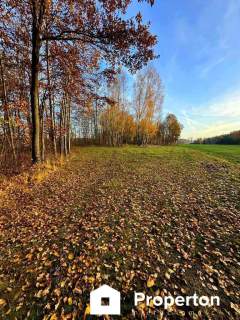Działka bud-rolna Łomnica -2,47 ha