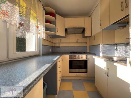 Mieszkanie do wynajęcia, 38 m2, Łódź
