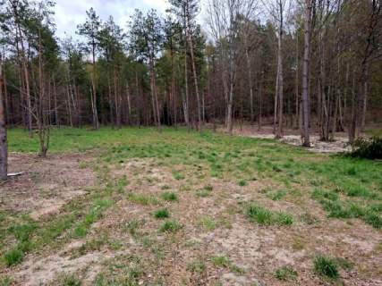 Działki bud. Rydzewo gm Miłki
