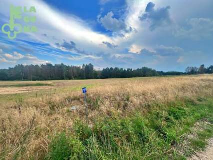 Jeleńska Huta, działki blisko lasu, cisza i spokój