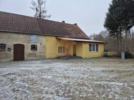 Gospodarstwo rolne ze stawem