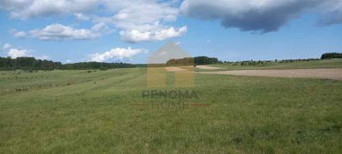 Działka rekreacyjna/Myślinów/2 ha