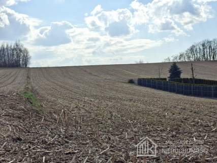 Bodzanów ok. Wieliczki działka bud. 25a MN 56a R