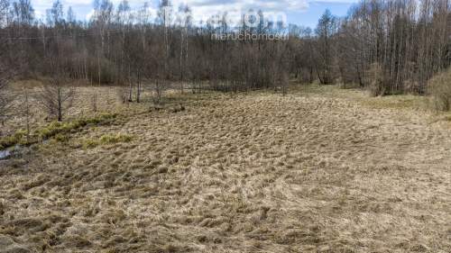 Sielska Warmia działka w Patrykach 2,89 ha z WZ