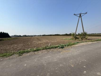 Działka rolno-budowlana 0,31 ha w Gołębiu k/Puław.