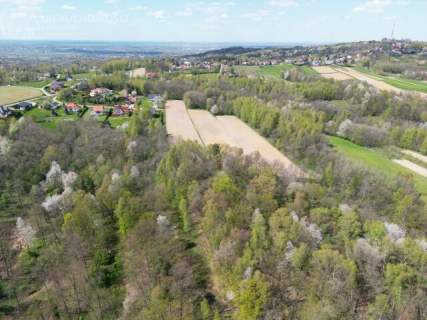 Twój prywatny las blisko Tarnowa - 98 arów spokoju i natury 