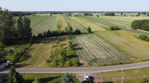 Działka o pow. 6461 m2 w Wysokim Kole Gniewoszów 