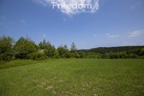 1,8 ha pod rekreację, siedlisko lub fotowoltaikę