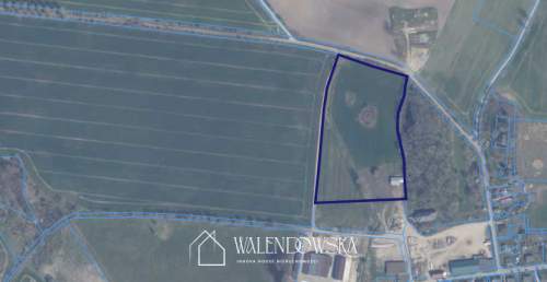 działka rolna 4,39 ha - Grapice, gm. Potęgowo