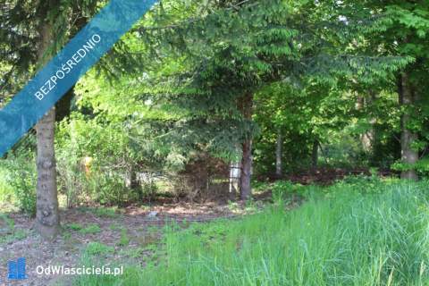 Wynajmę posesję - duży dom, duża działka na min. 10 lat