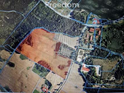 14,2 ha ziemi rolnej 2 działki Pudwągi