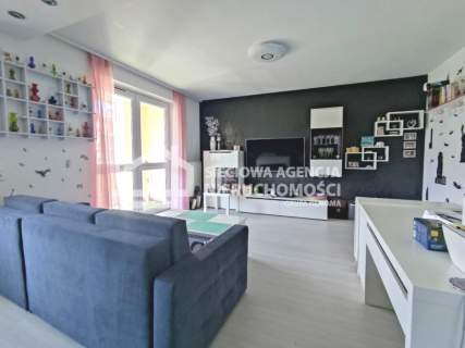 mieszkanie na wynajem Borkowo 2 pokoje 49,50 m2