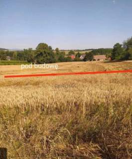 Działka rolno-budowlana 1h100. Doboszowice