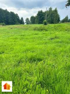 Działka na sprzedaż o powierzchni 1302m2 w Ochabach Małych -...
