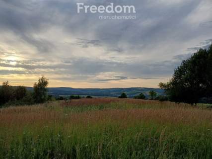1,38 ha pod siedlisko, działka widokowa