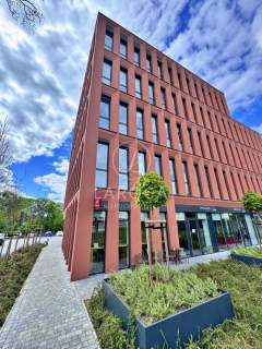 Witryny, szyld reklamowy, parter, Toruń centrum