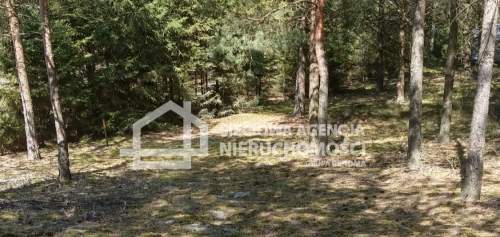 Działka 7053m2 Nierostowo/gm. Konarzyny