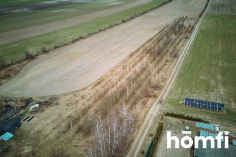 Działka Borowina Starozamojska 3000 m2 z WZ