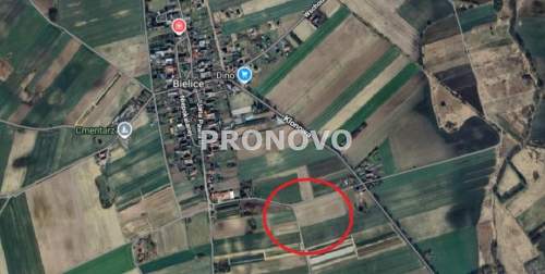 działki budowlane Bielice