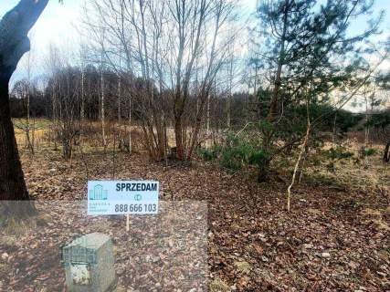 Na sprzedaż dwie sąsiadujące działki Trzepnica