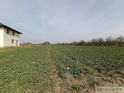 Działka na sprzedaż Stok Lacki Folwark