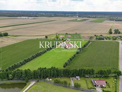Wyjątkowa posiadłość z dużą działką blisko Torunia