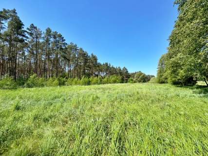  Działka, warunki zabudowy, 2900 m2/Czarne Błoto.
