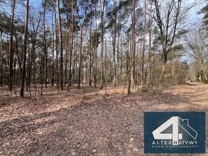 Działka w leśnym zaciszu Sokolnik 1680 m2