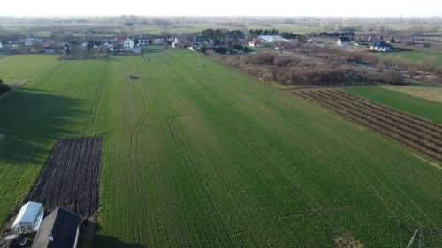 Działka rolno-budowlana 0,62 ha w Gołębiu k/Puław.
