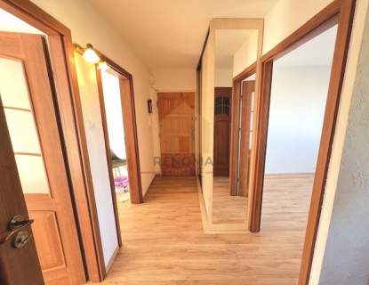 3 pokoje/54m2/podzamcze/z ogródkiem