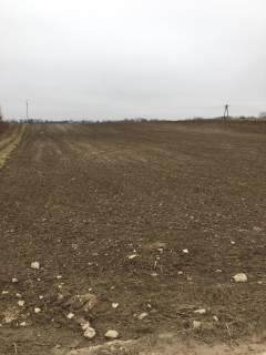 Działka 3000m2 Tomaszowice- Kolonia