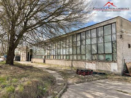 Hala / Magazyn/ 2668 m2, działka 5075 m2 / Toruń