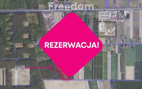 Działka leśna 7,1437 ha